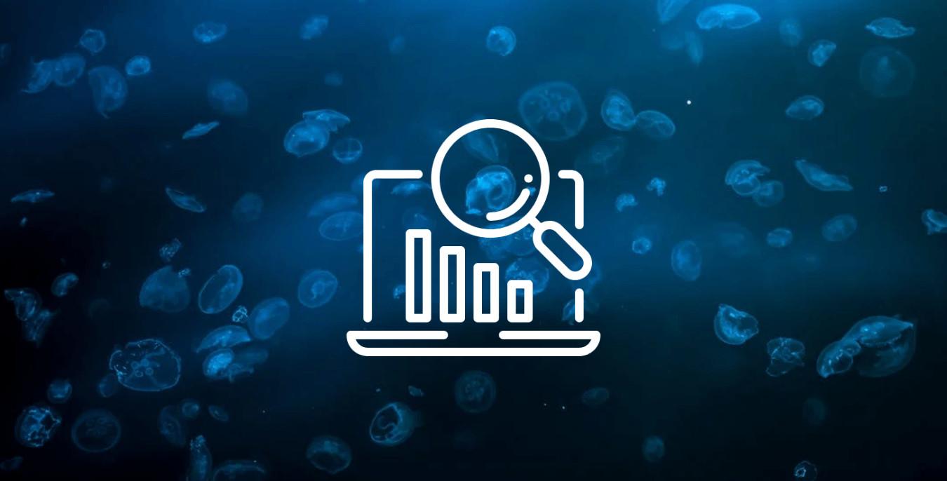 Tối ưu hóa SEO cho website NextJS: để đạt thứ hạng cao trên Google